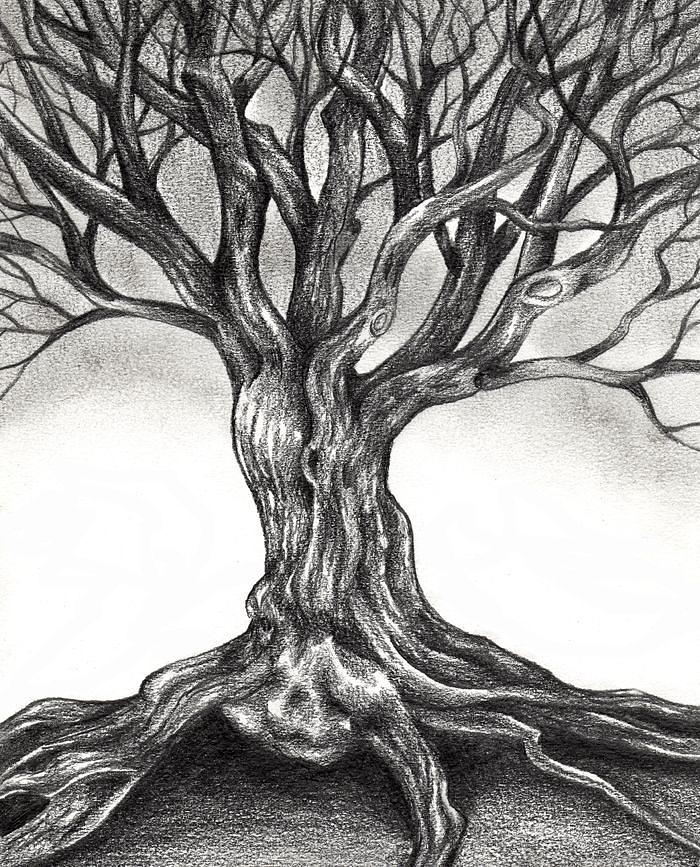 How to Draw (Realistic) Trees with Pen & Ink - Ran Art Blog