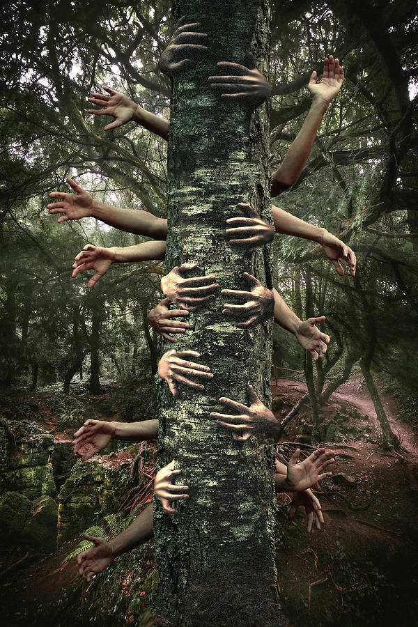Tree Spirits 2 Digital Art by Lisa Yount