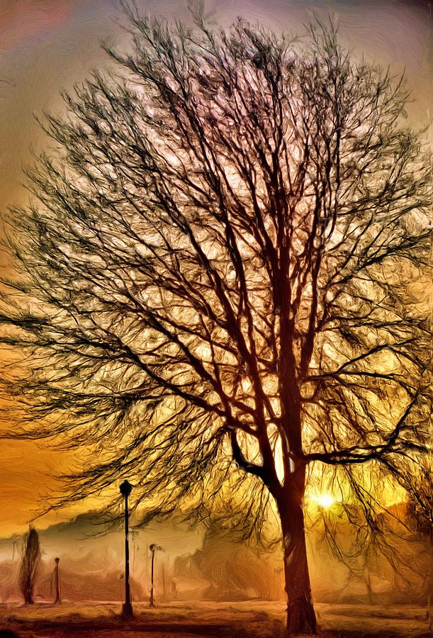Tree Sunrise Silhouette Digital Art by Russ Considine