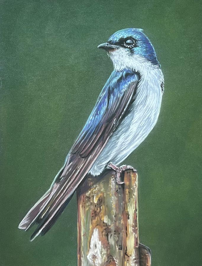 Tree Swallow Painting by Mark Ray