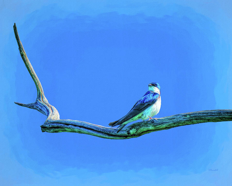 Tree Swallow on Dead Tree Digital Art by Dennis Lundell