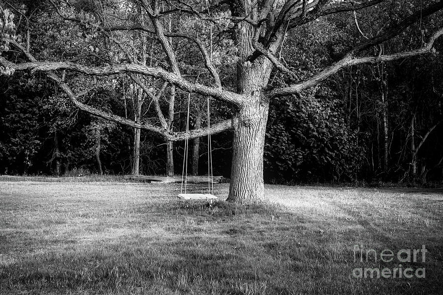 Nature Photograph - Tree Swing 9 by Robert Alsop