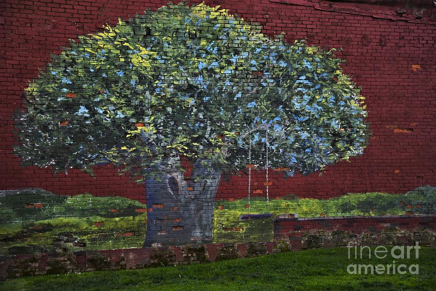 Tree Swing Mural Photograph by Julie Adair