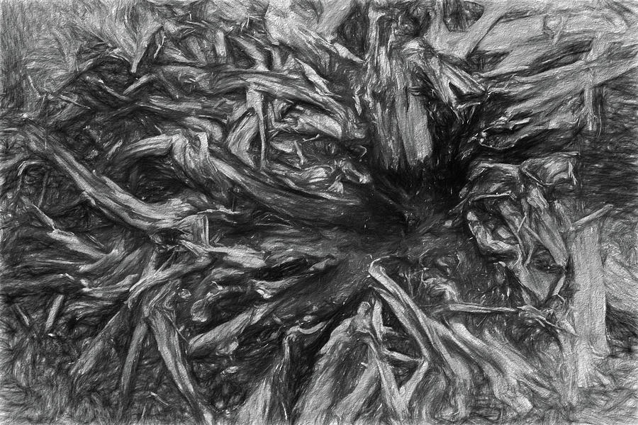 Tree Trunk Design Digital Art by Carol Lowbeer Fine Art America