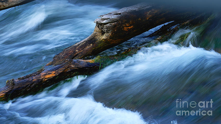 Tree Trunk Holding its Own Against Rushing Waters Photograph by fototaker Tony