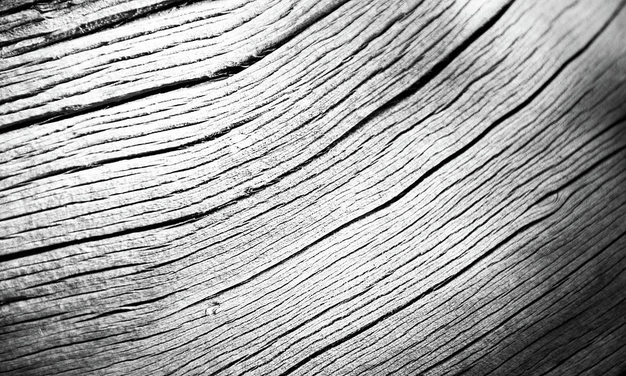 Tree trunk textures black and white Photograph by Michalakis Ppalis