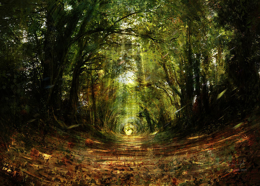 Tree Tunnel Digital Art by Andrea Gatti