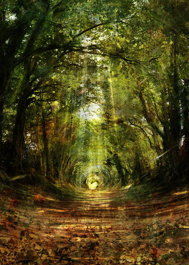 Tree Tunnel vertical Digital Art by Andrea Gatti