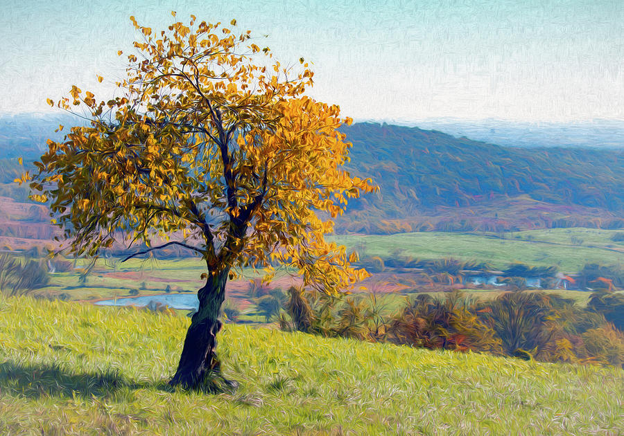 Tree Upon the Ridge Photograph by Art Cole - Fine Art America