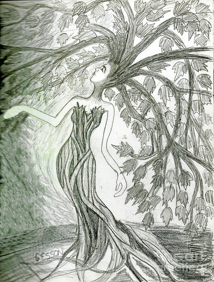 Tree Witch Drawing by Genevieve Esson