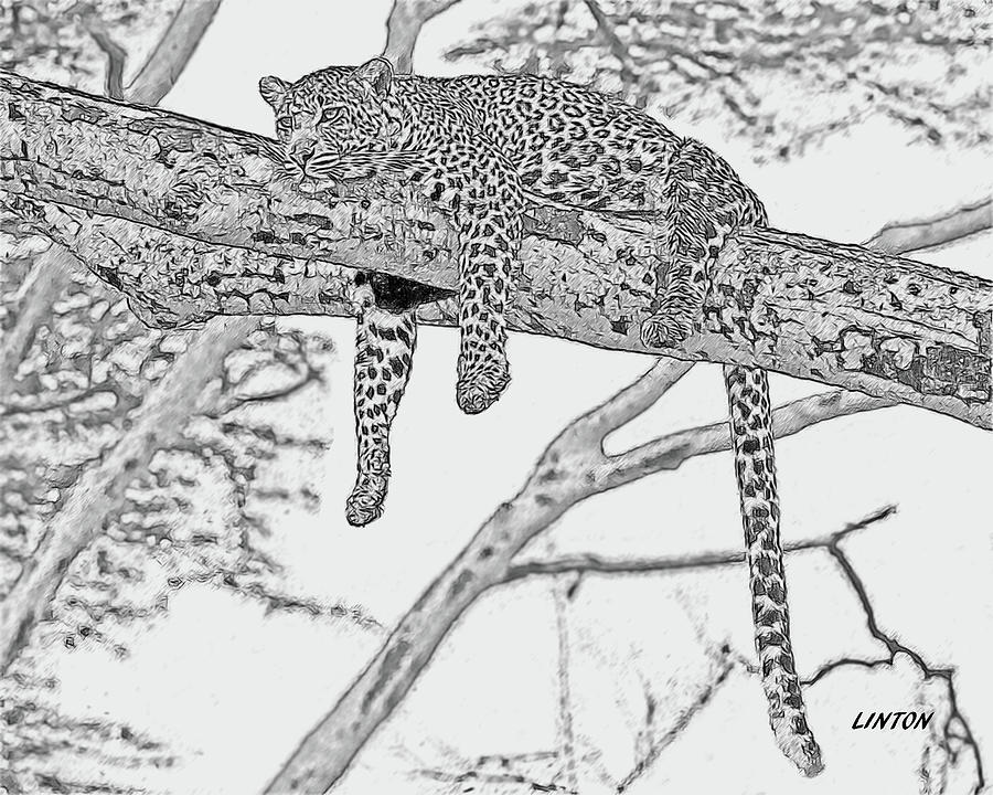 Treed Leopard Digital Art by Larry Linton