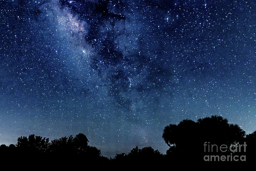 Treeline Milky Way Photograph by Tom Claud
