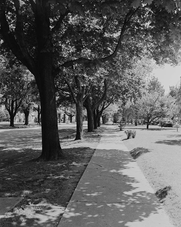 Treelined street with sidewalk Photograph by George Marks