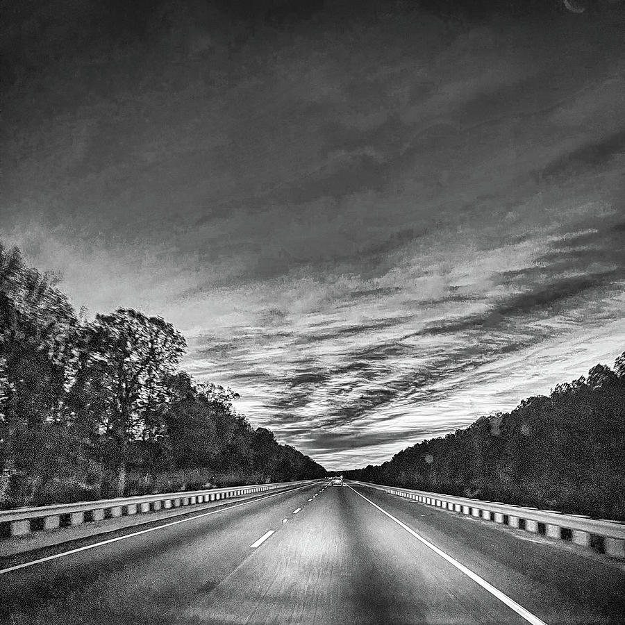 Trees along the highway at dawn Photograph by Alan Goldberg