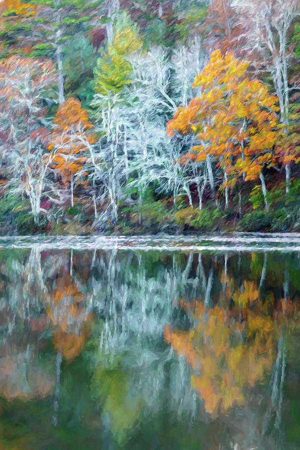 Trees along the Lake Painting Photograph by Debra and Dave Vanderlaan
