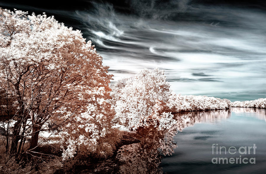 Trees Along the Raritan River Infrared Photograph by John Rizzuto