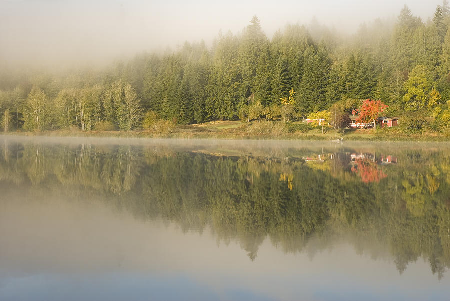 Trees and cottage reflected in lake Photograph by Deb Casso