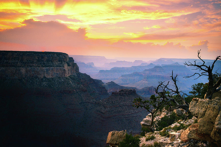 Trees and Grand Canyon at Sunset Photograph by Chance Kafka