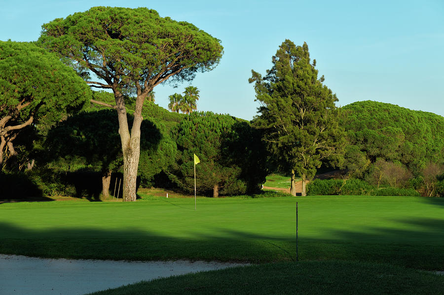 Trees and grassy Golf Course of Quinta do Lago Photograph by Angelo DeVal