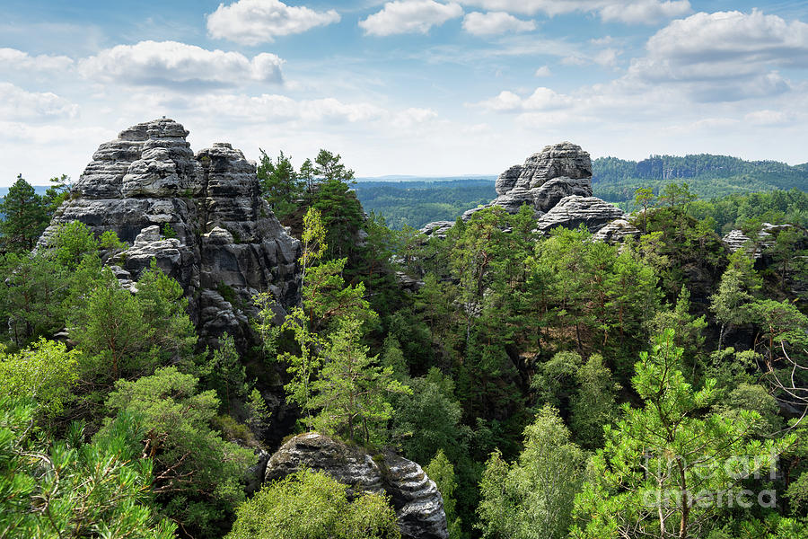 Nature Photograph - Trees and sandstone rocks near Rathen 1, Saxon Switzerland by Adriana Mueller