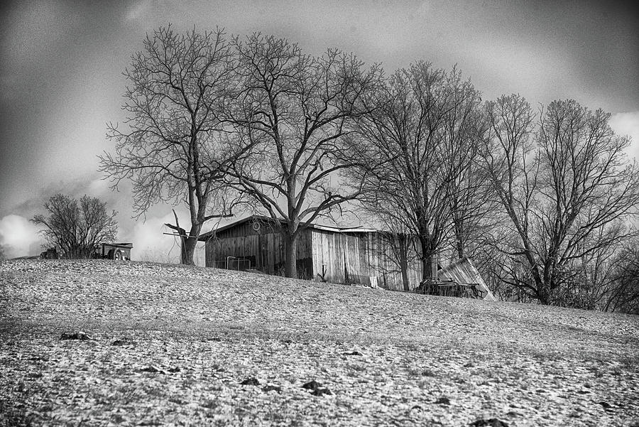 Trees and shed on a hill Photograph by Alan Goldberg