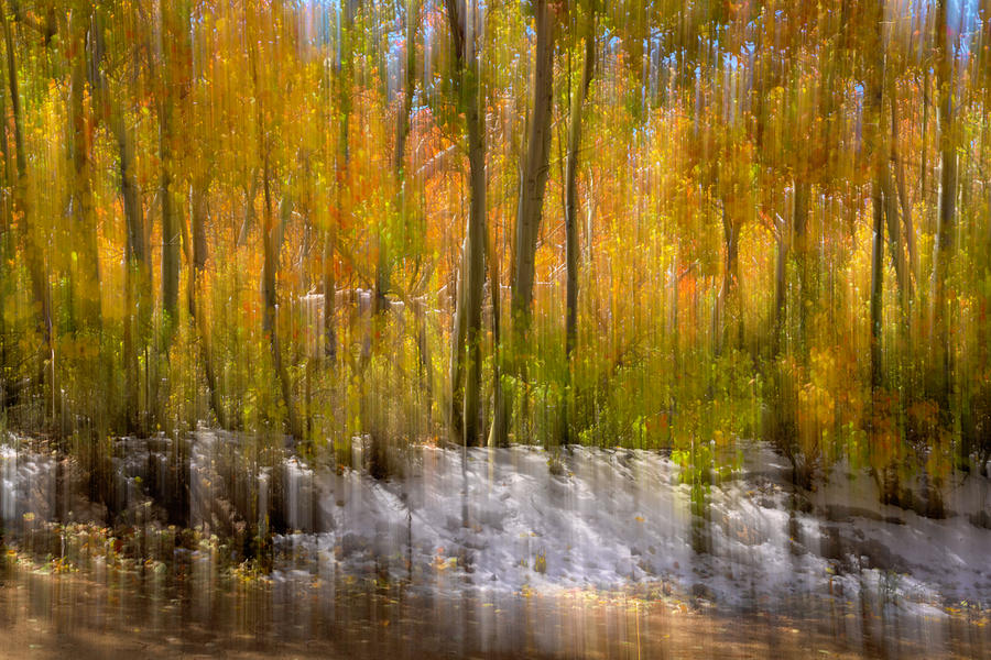 Fall Foliage and Snow ICM Photograph by Lindsay Thomson