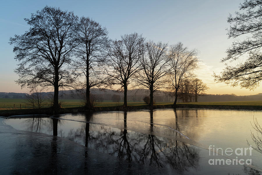 Trees and their reflection in the evening light Photograph by Adriana Mueller