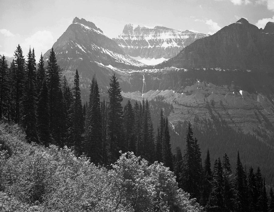 Ansel Adams Photograph - Trees, Bushes and Mountains, Glacier National Park, Montana - National Parks and Monuments, 1941 by Ansel Adams