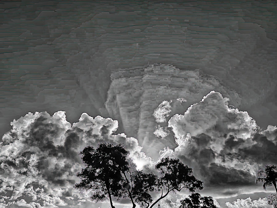 Trees Cloud and Open Sky Photograph by Alan Goldberg