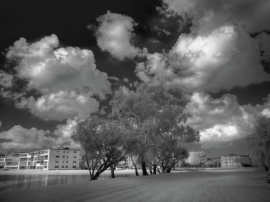 Trees, Clouds and Condos Photograph by Alan Goldberg