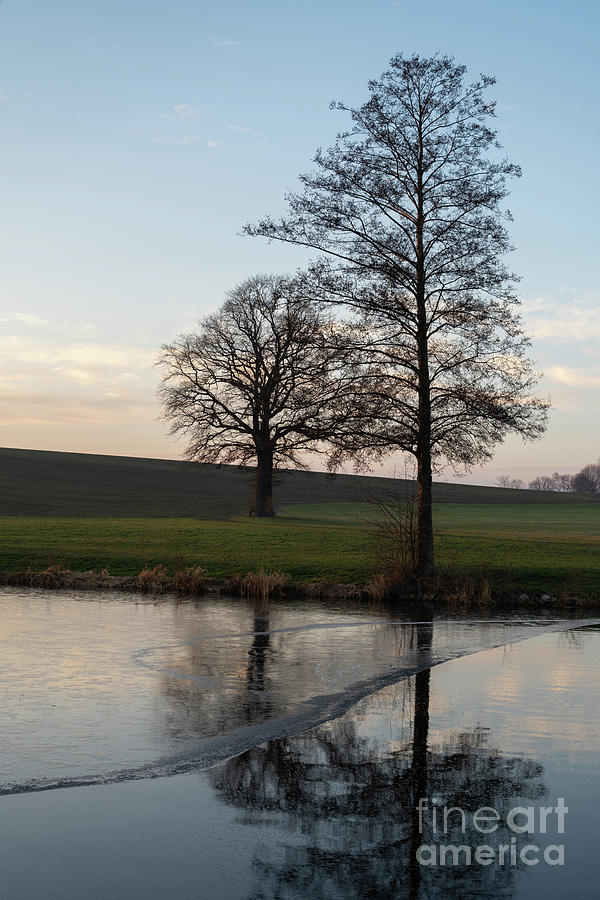Trees, fields and a tranquil ambience by the water Photograph by Adriana Mueller