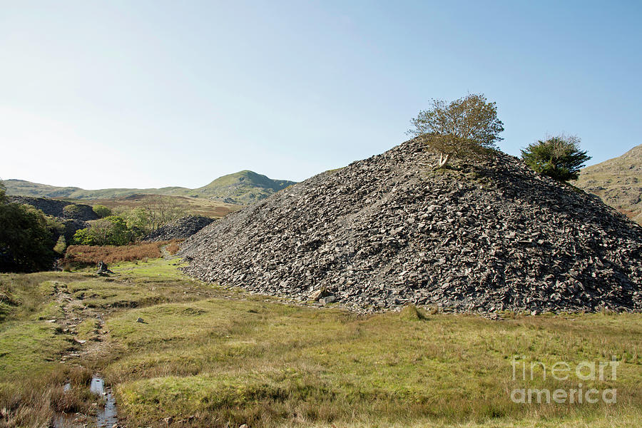 Mountain Photograph - Trees growing on quarry spoil heaps near Dow Crag Coniston England by Michael Walters