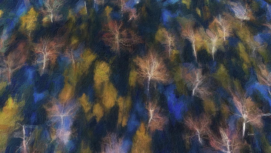 Trees in Autumn From the Air Digital Art by Russ Harris