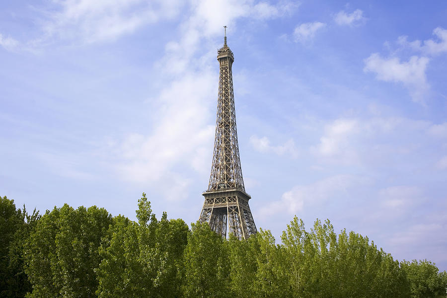 Trees in front of a tower, Eiffel Tower, Paris, France Photograph by Glowimages