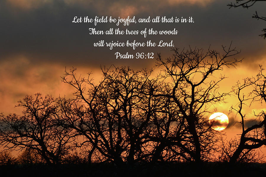 Trees in Sunset Praise with Scripture Photograph by Gaby Ethington