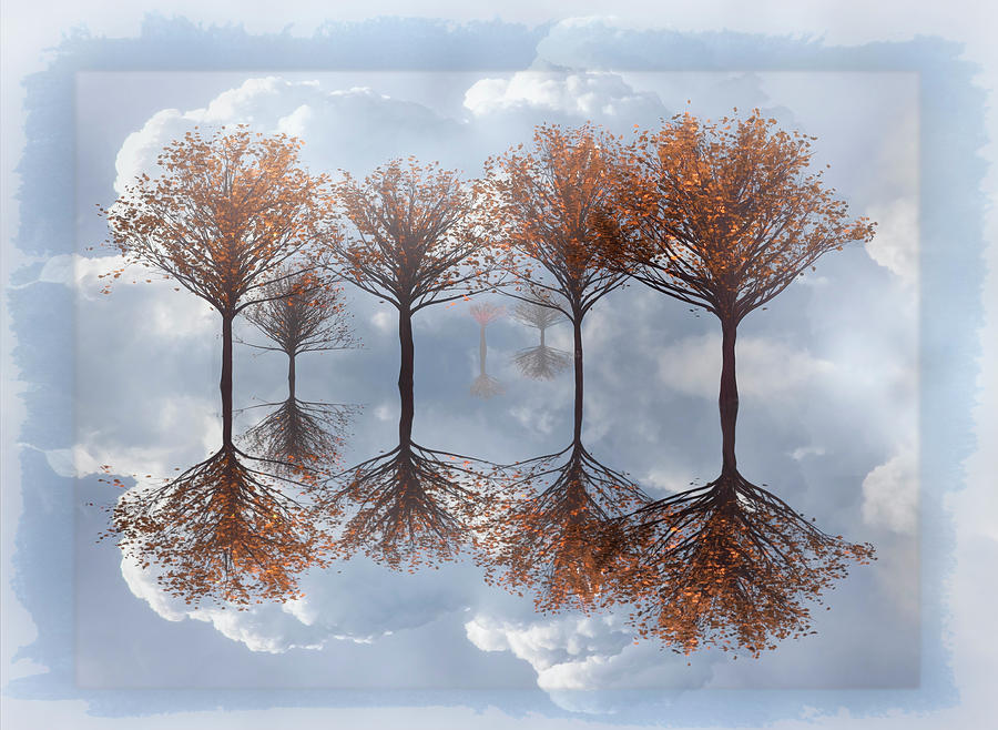 Trees in the Water Digital Art by Debra and Dave Vanderlaan