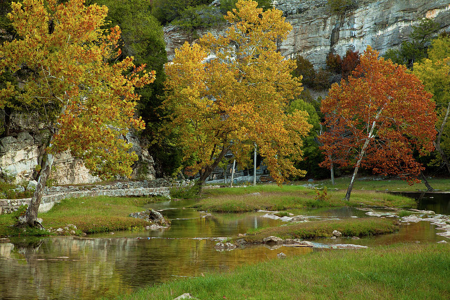 Trees in Turner Falls Photograph by Iris Greenwell