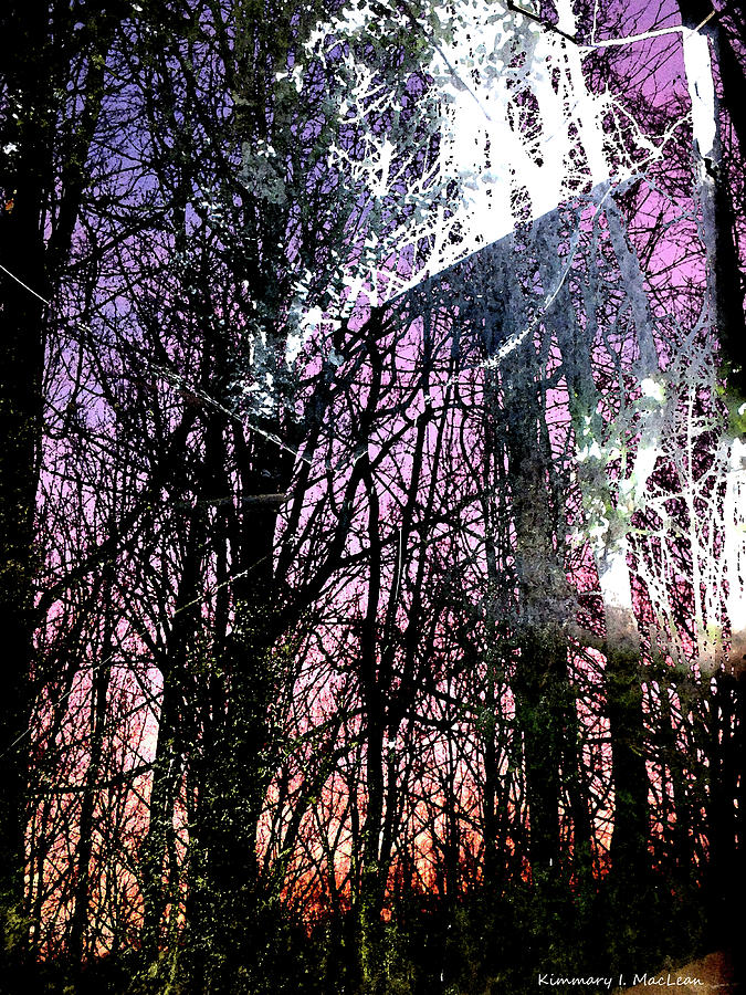 Trees Interrupted Digital Art by Kimmary MacLean