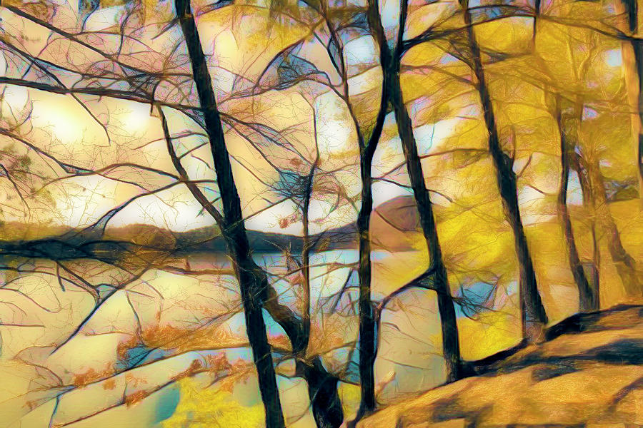 Trees Leaning Over the Lake Abstract Art Photograph by Debra and Dave Vanderlaan
