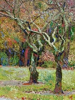 Trees Painting by Nancy Shuler