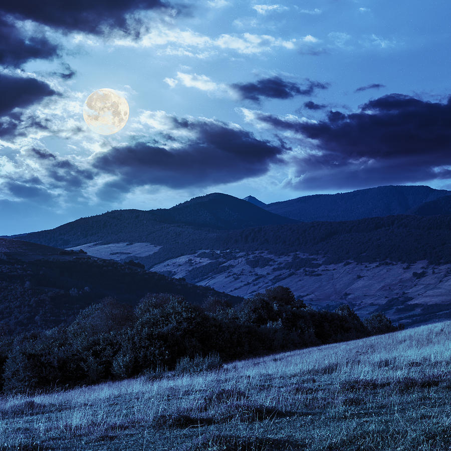 Trees Near Valley On Mountains  Hillside In Moon Light Photograph by Mike_Pellinni
