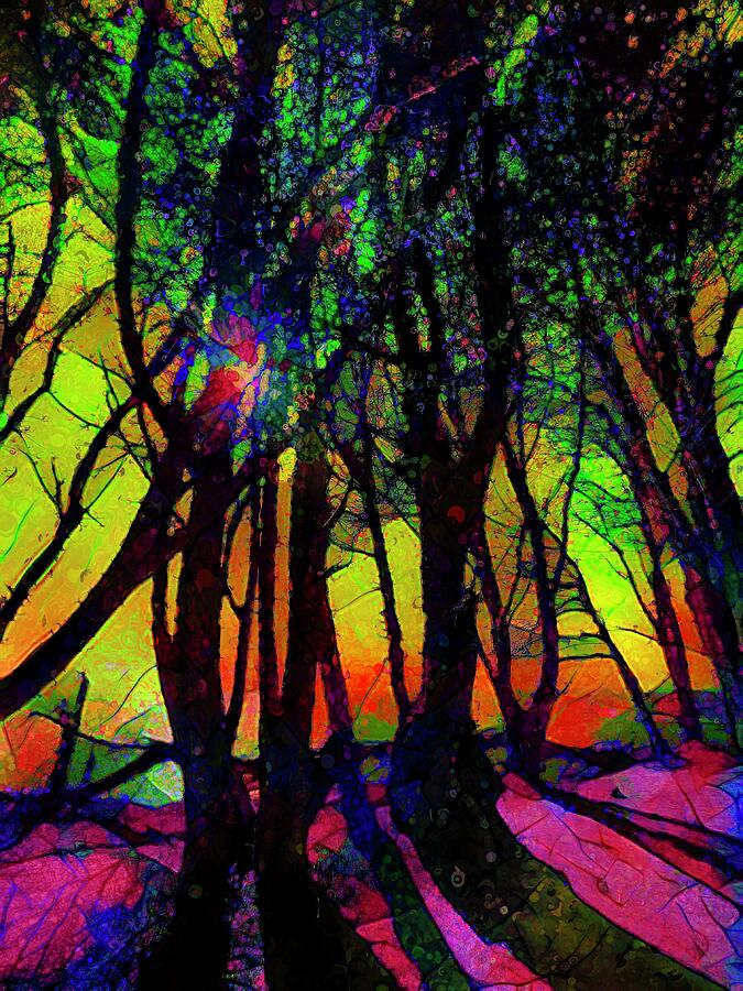 Trees of Color Mixed Media by Christina Ford