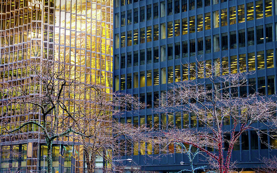 Trees of the CIty 2 Photograph by Mark Gomez