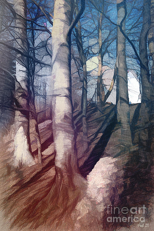 Trees on a Slope Digital Art by Jutta Maria Pusl