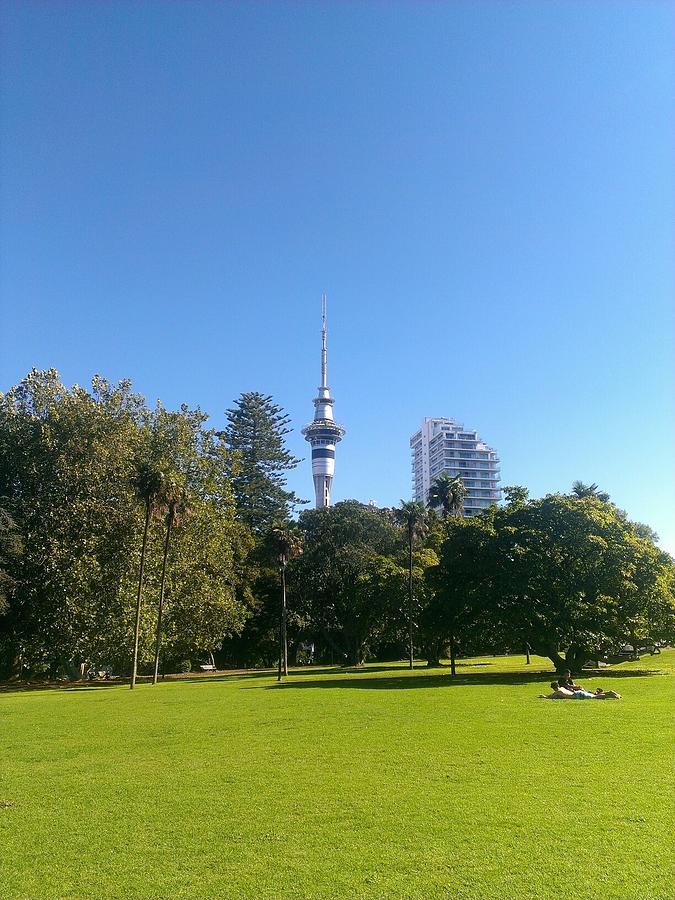 Trees On Grassy Field In Park Against Sky Tower Photograph by Shaun Emerik / EyeEm Trees On Grassy Field In Park Against Sky Tower Photograph by Shaun Emerik / EyeEm