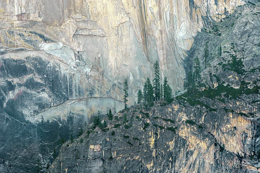 Trees on Half Dome Ledge, Yosemite Photograph by Alexander Kunz