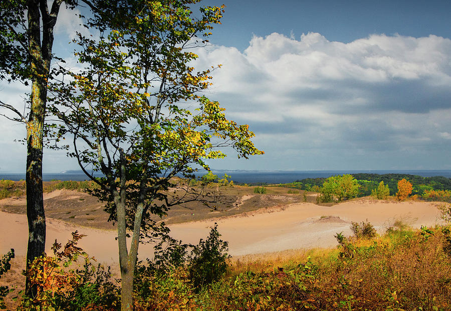 Trees on Sleeping Bear Dunes National Lakeshore Photograph by Randall Nyhof