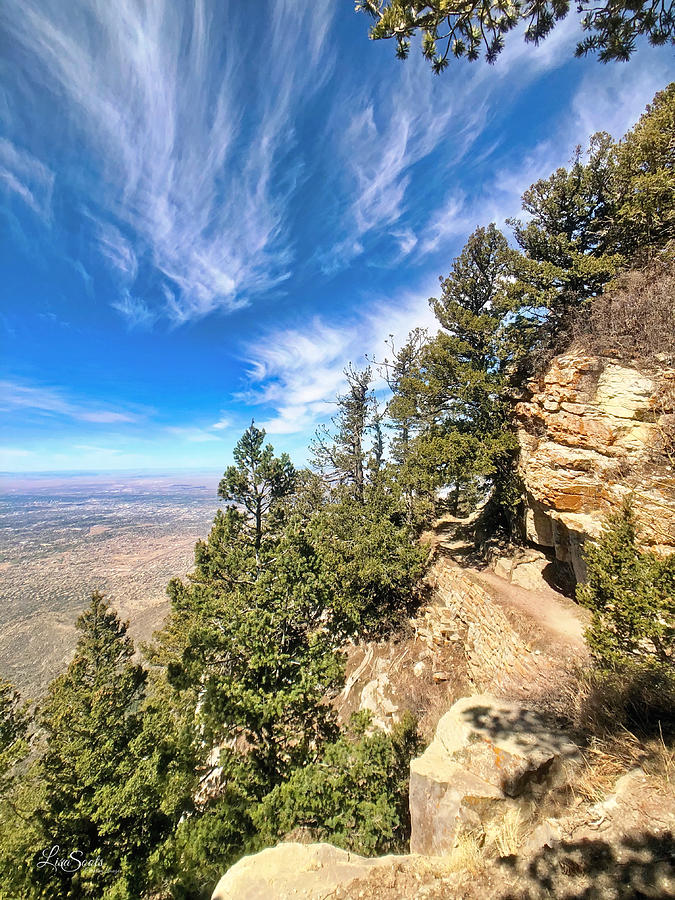 Trees on the Cliff of Sandia Crest Photograph by Lisa Soots