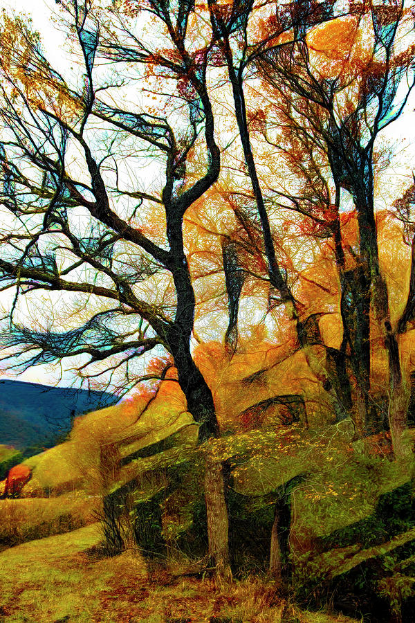 Trees on the Edge of the Forest Abstract Painting Photograph by Debra and Dave Vanderlaan