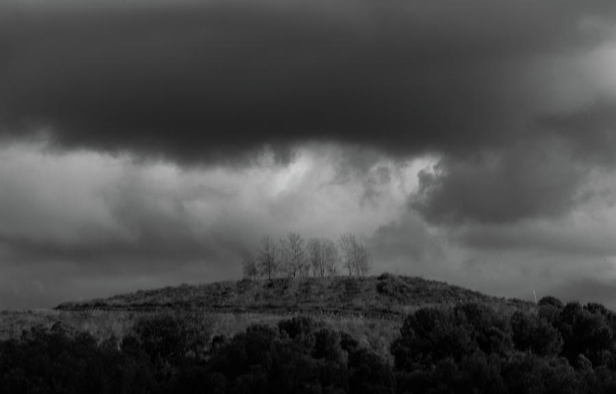 Trees On The Hill Photograph